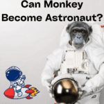 Now Monkey Will Become Astronaut !!
